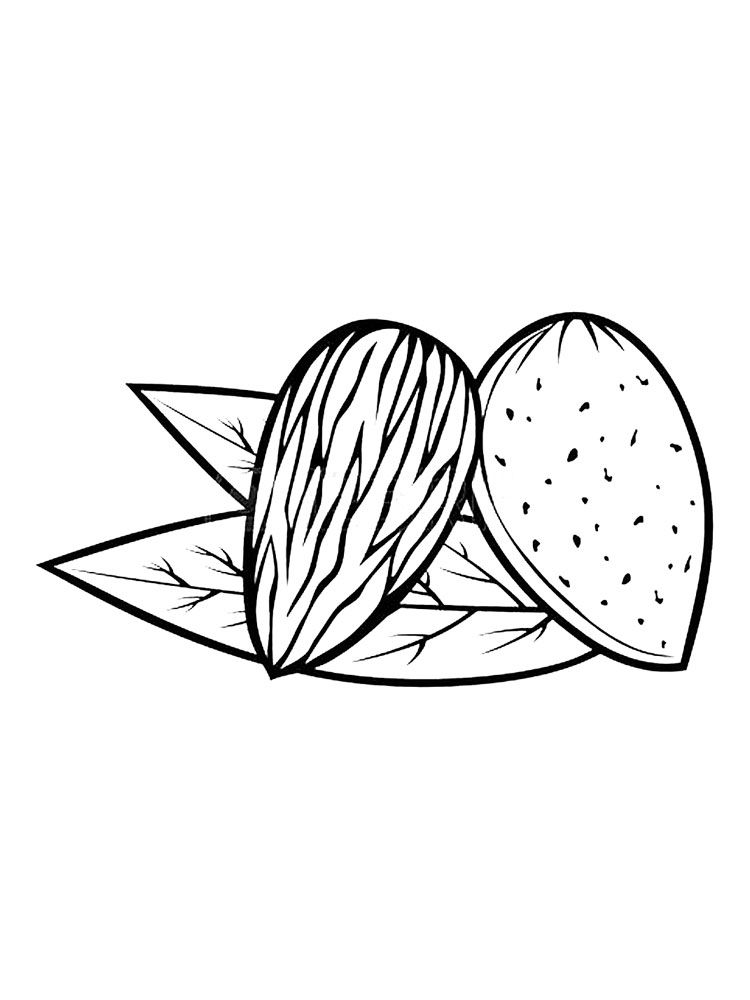 Nuts coloring pages