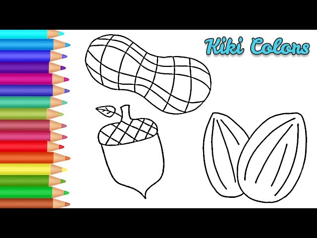 How to color nuts drawing and coloring videos