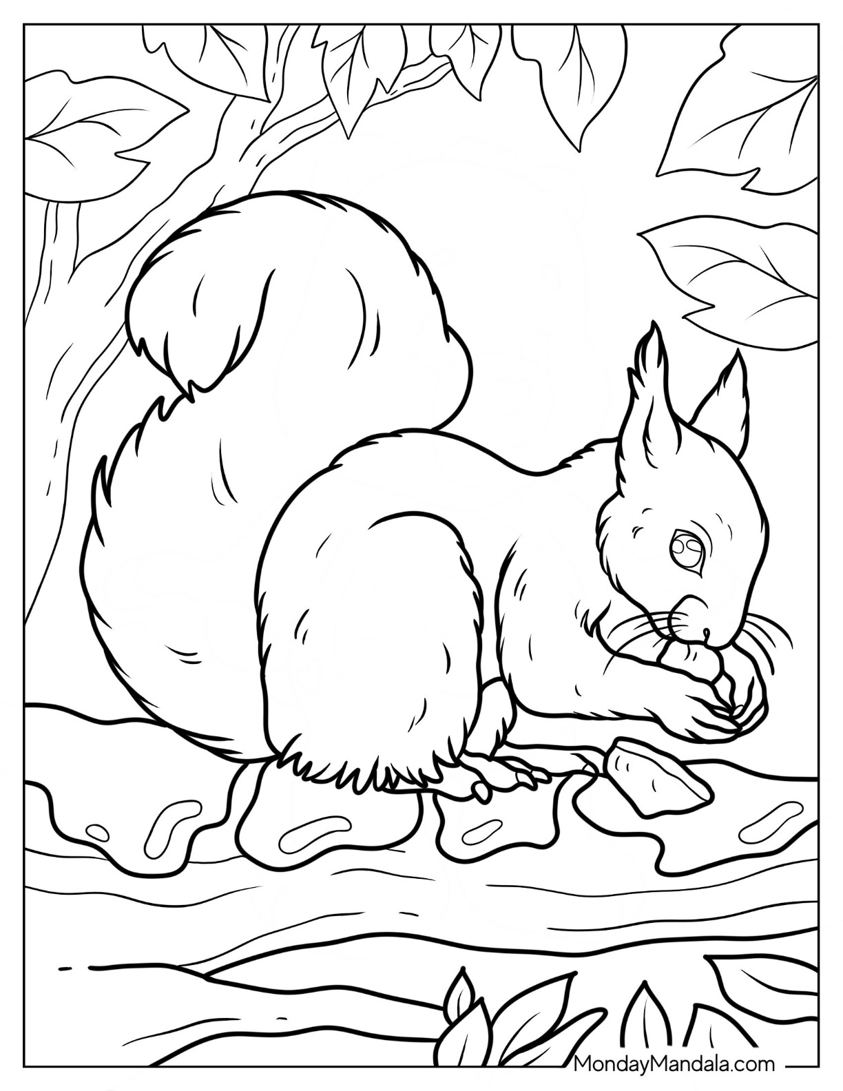 Squirrel coloring pages free pdf printables