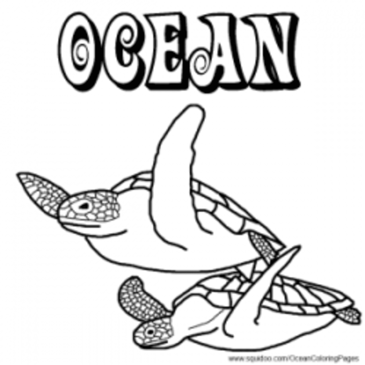 Ocean animal facts and coloring pages