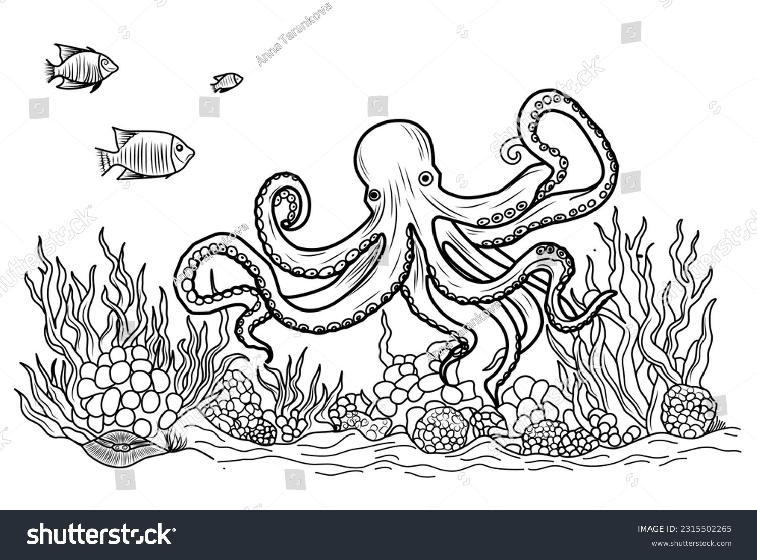 Octopus coloring images stock photos d objects vectors