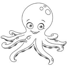 Top free printable octopus coloring pages online octopus colors octopus coloring page octopus drawing