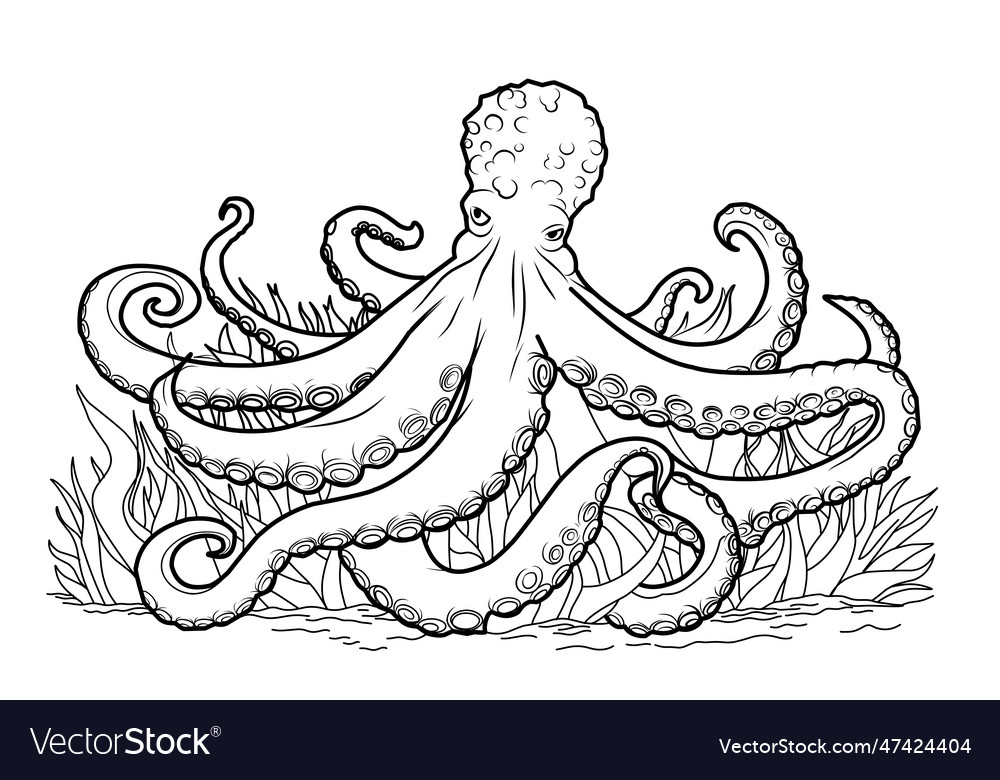 Octopus coloring book page simple line royalty free vector