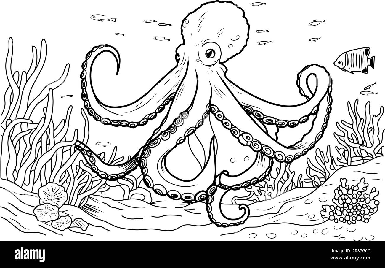 Octopus coloring book coloring page simple line illustration of octopus and underwater world stock vector image art