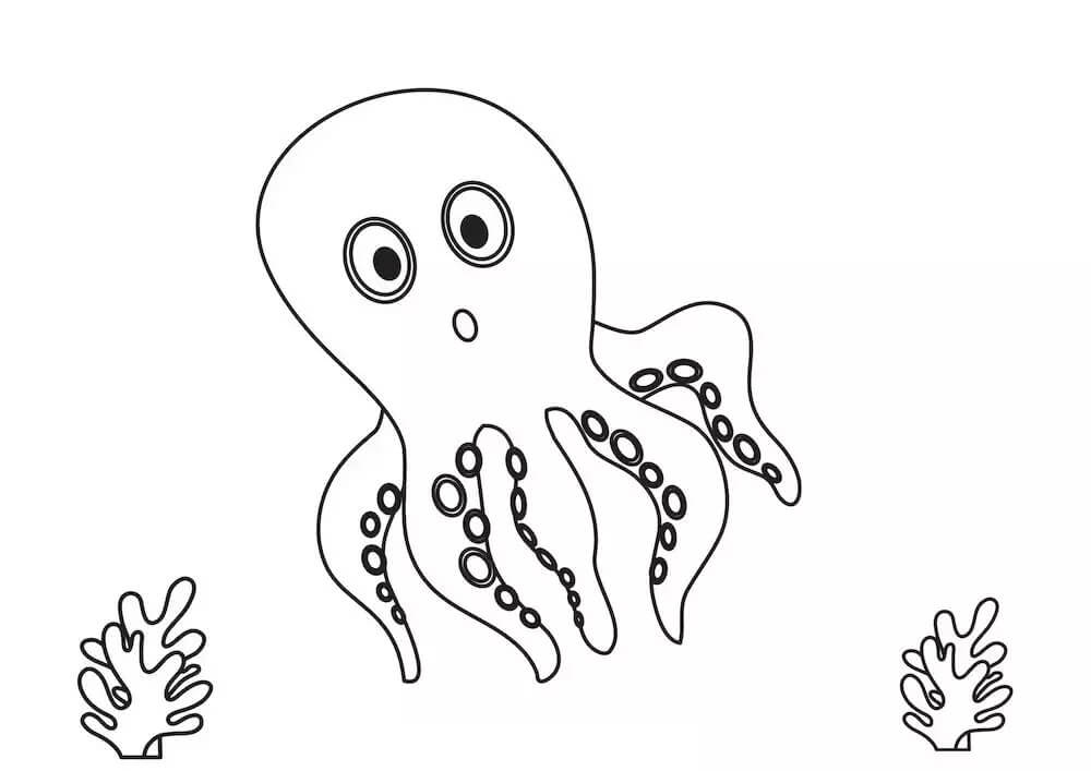 Octopus with two corals coloring page