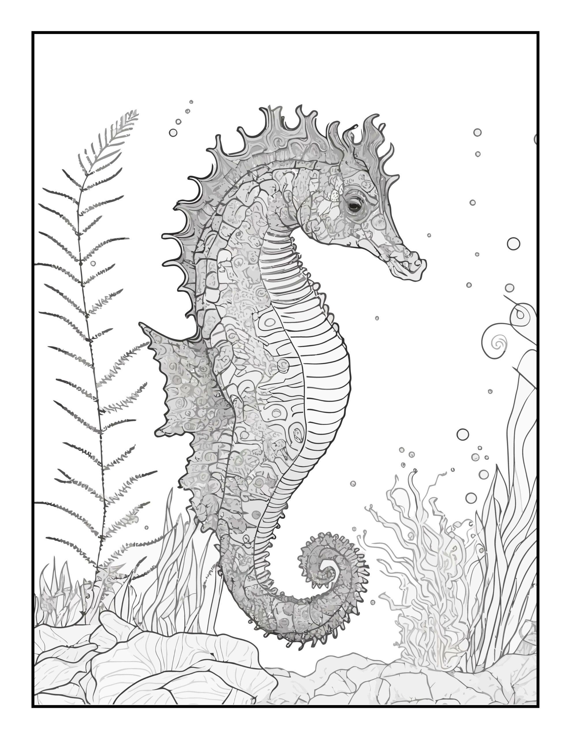 Dive into creativity with our sea coloring pages made by teachers