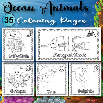 Ocean animals coloring pages first day week of preschool or pre