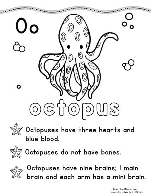 Ocean animal coloring pages