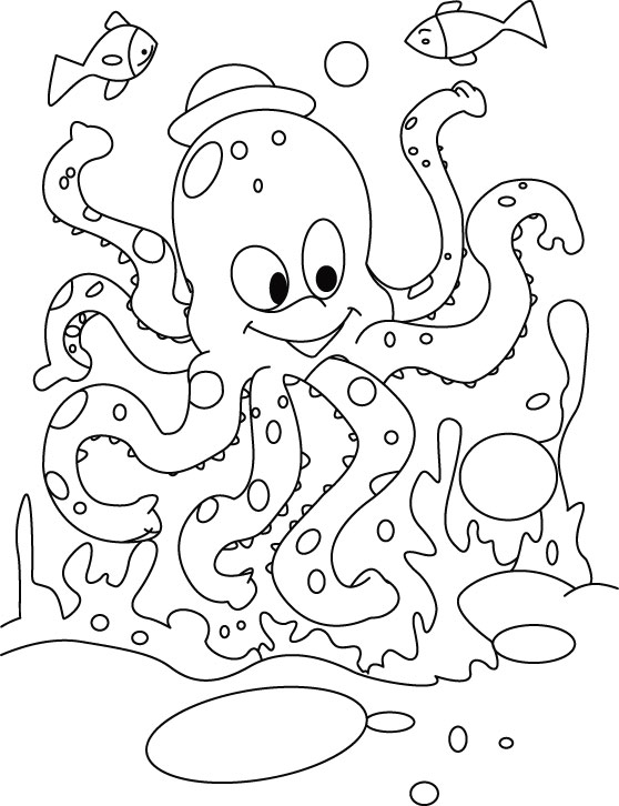 Fish n octopus exited for race coloring pages download free fish n octopus exited for race coloring pages for kids best coloring pages