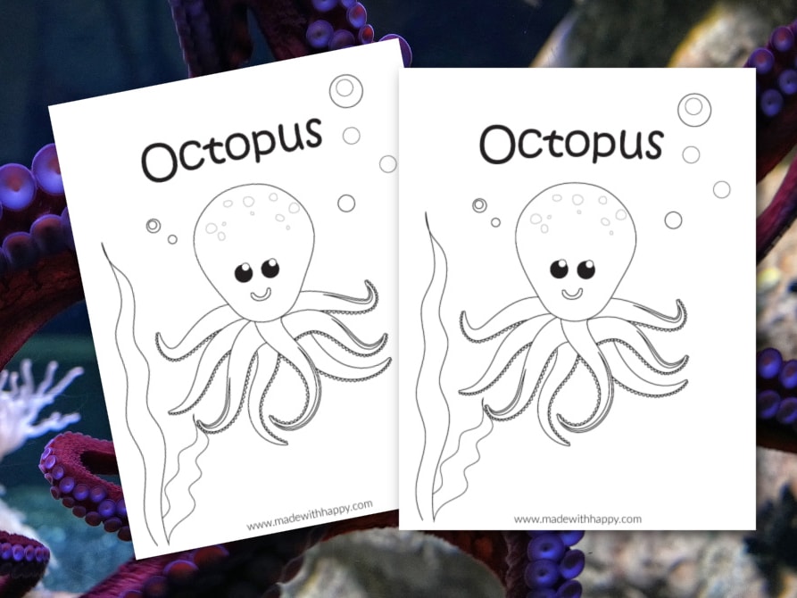 Octopus coloring page free printable