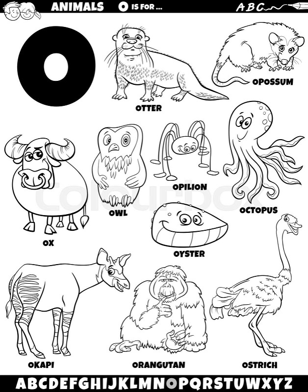 Cartoon animal characters for letter o set coloring page stock vector