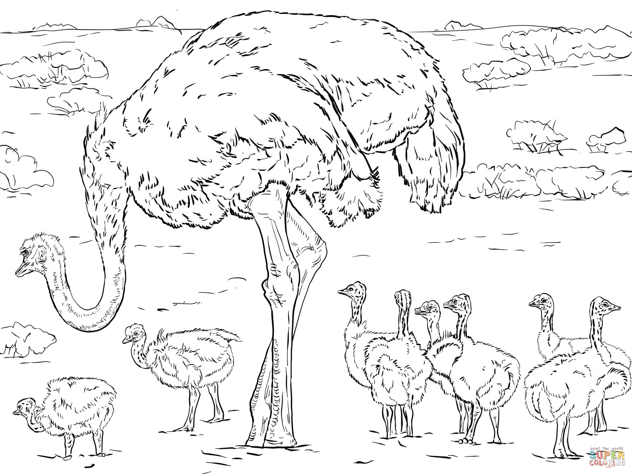 Ostrich with chicks coloring page free printable coloring pages