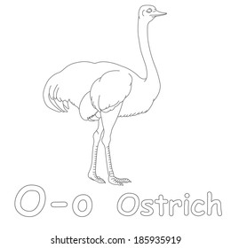 O ostrich coloring page stock illustration