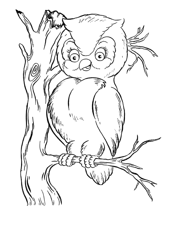 Owl coloring pages vintage style