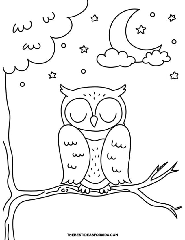 Owl coloring pages free printables