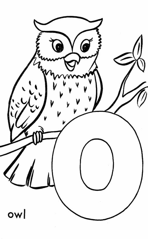 Top free printable owl coloring pages online owl coloring pages alphabet coloring pages coloring pages for kids