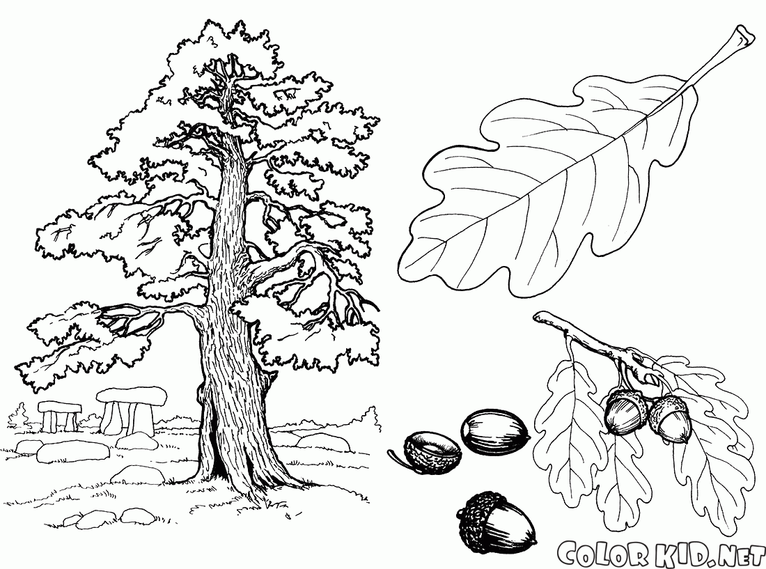 Coloring page