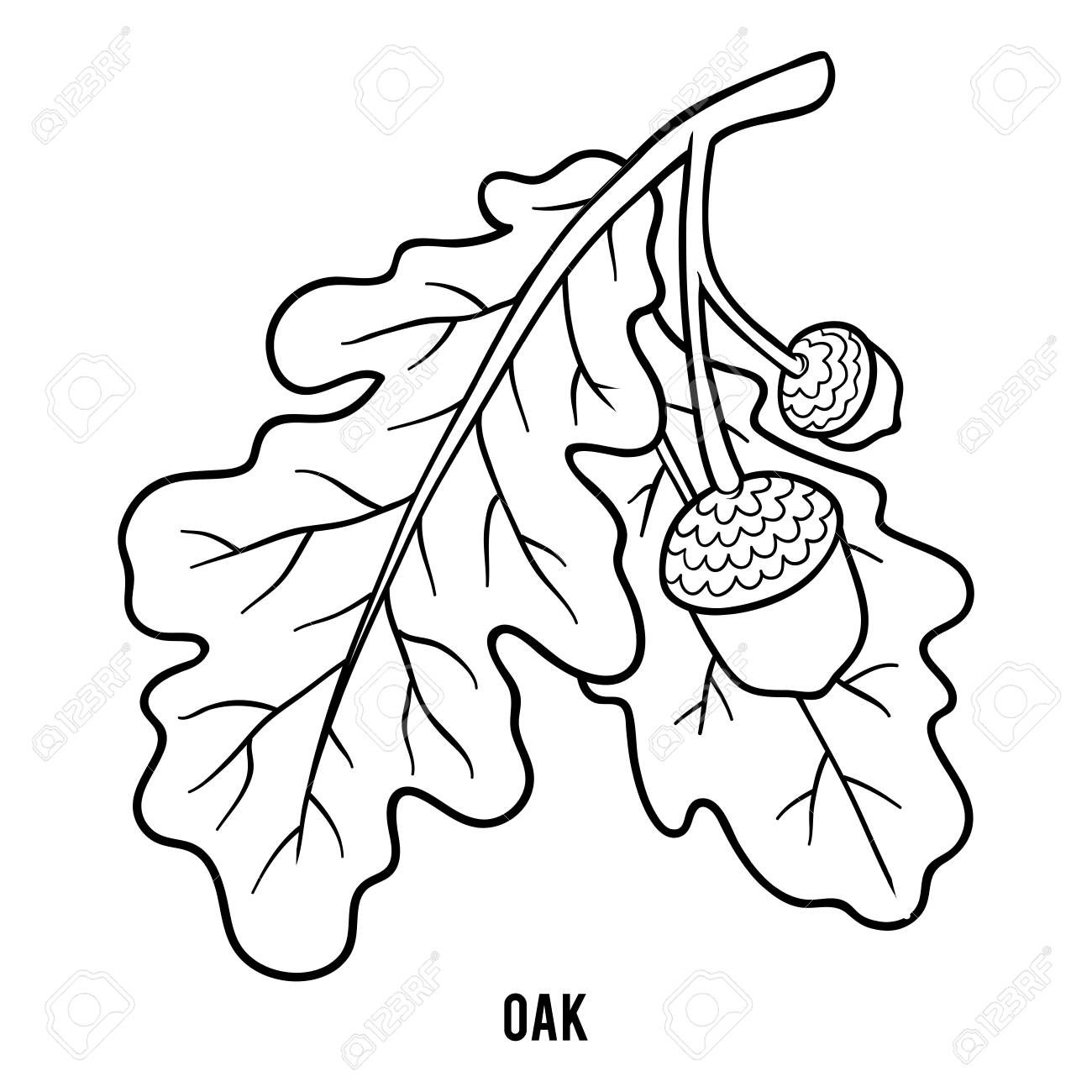 Coloring book for children oak royalty free svg cliparts vectors and stock illustration image