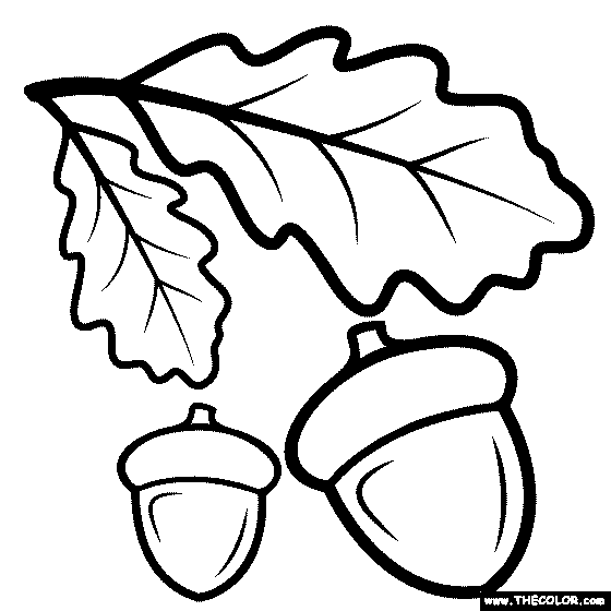 Nature coloring pages