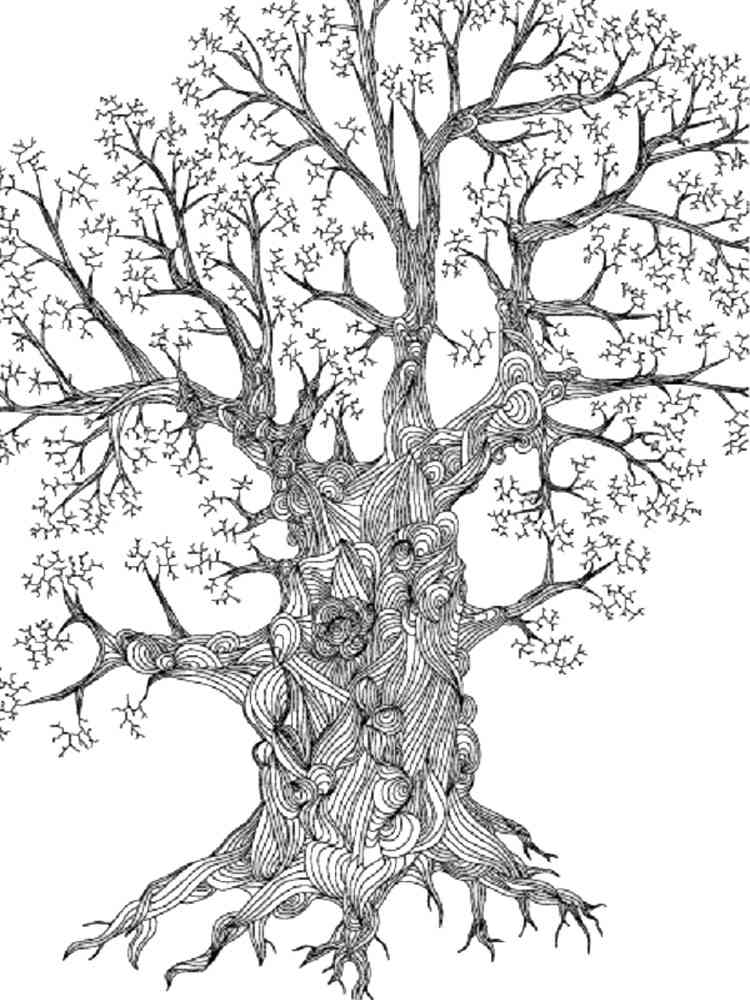 Oak coloring pages for adults