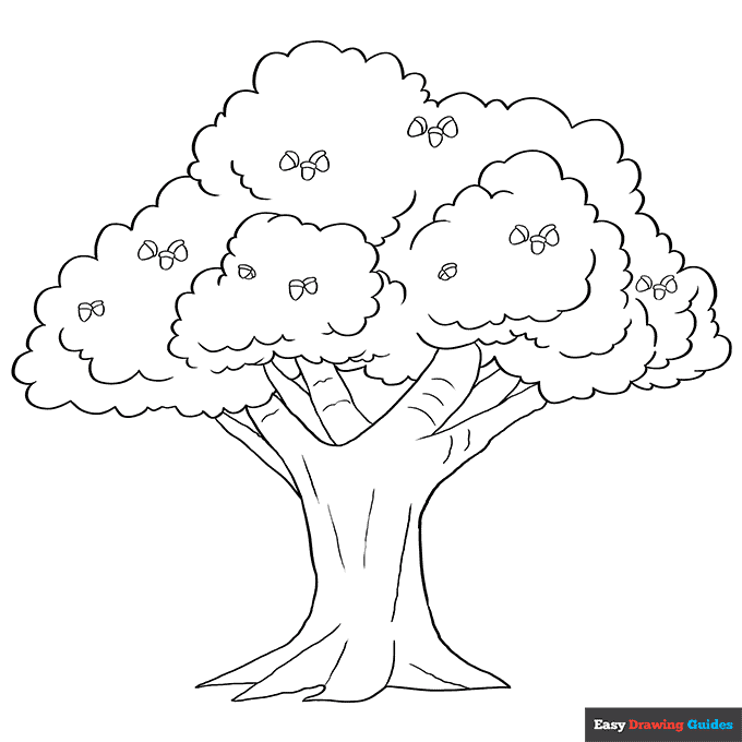 Oak tree coloring page easy drawing guides