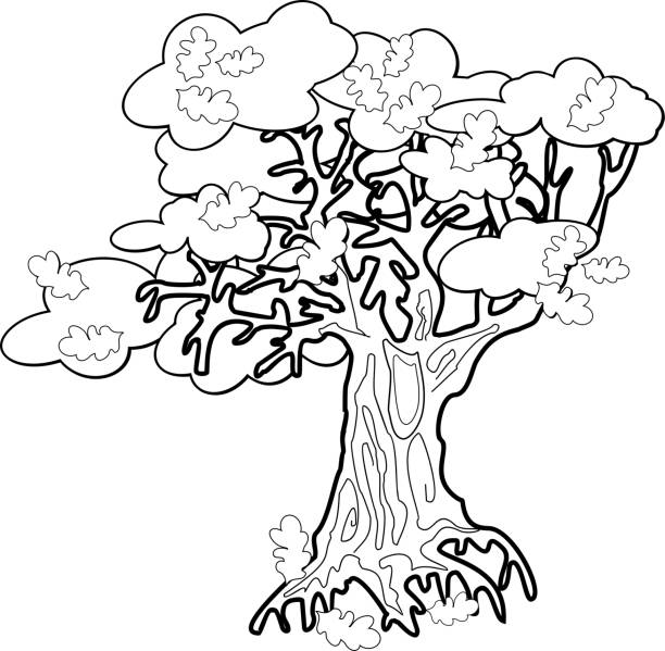 Old oak tree coloring page stock illustration