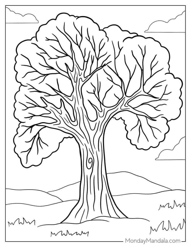 Tree coloring pages free pdf printables