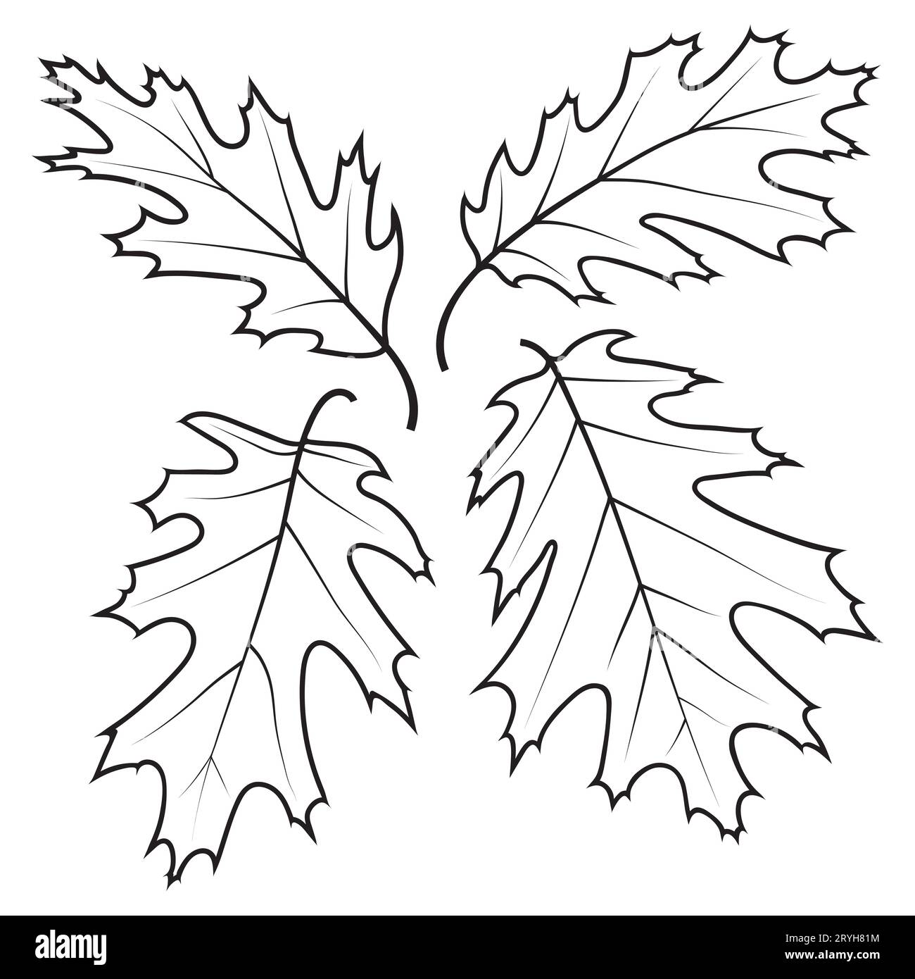 Northern red oak tree leaves vector illustration isolated on white background oak leaf outlines coloring page stock vector image art