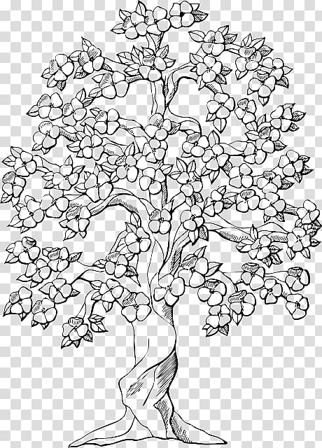 Free coloring book colouring pages tree oak trunk eating grapes sketch transparent background png clipart