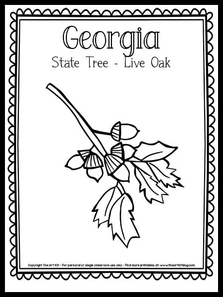 Georgia state tree coloring page live oak free printable â the art kit