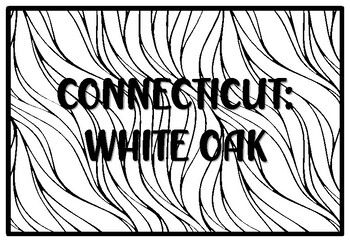 Connecticut white oak state tree coloring pages by anisha sharma