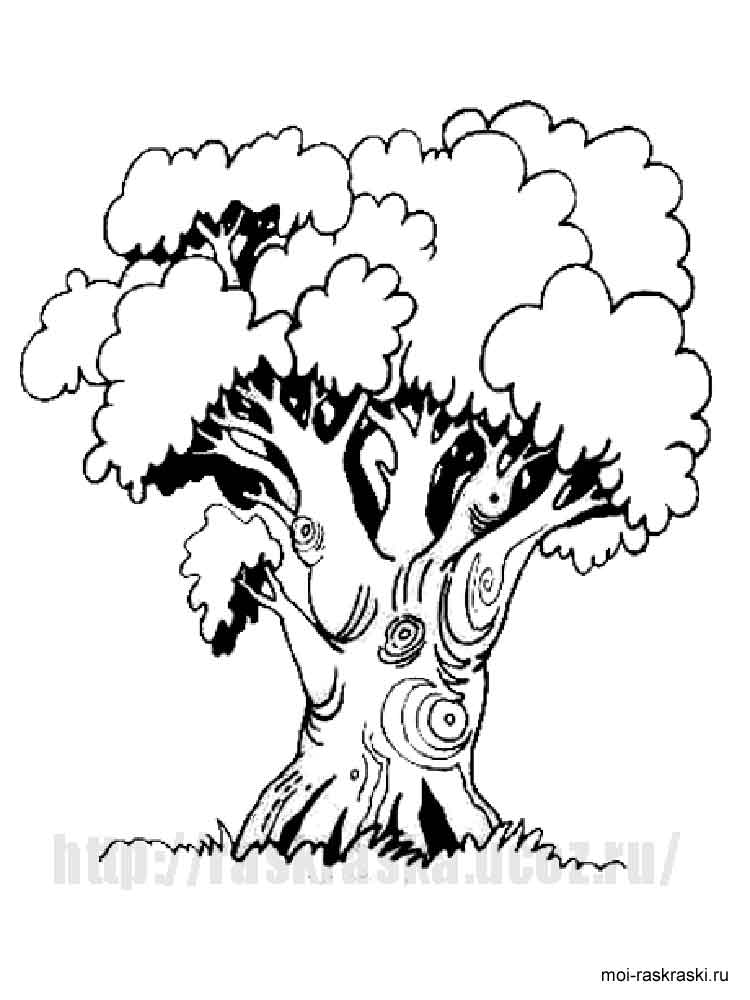 Oak coloring pages