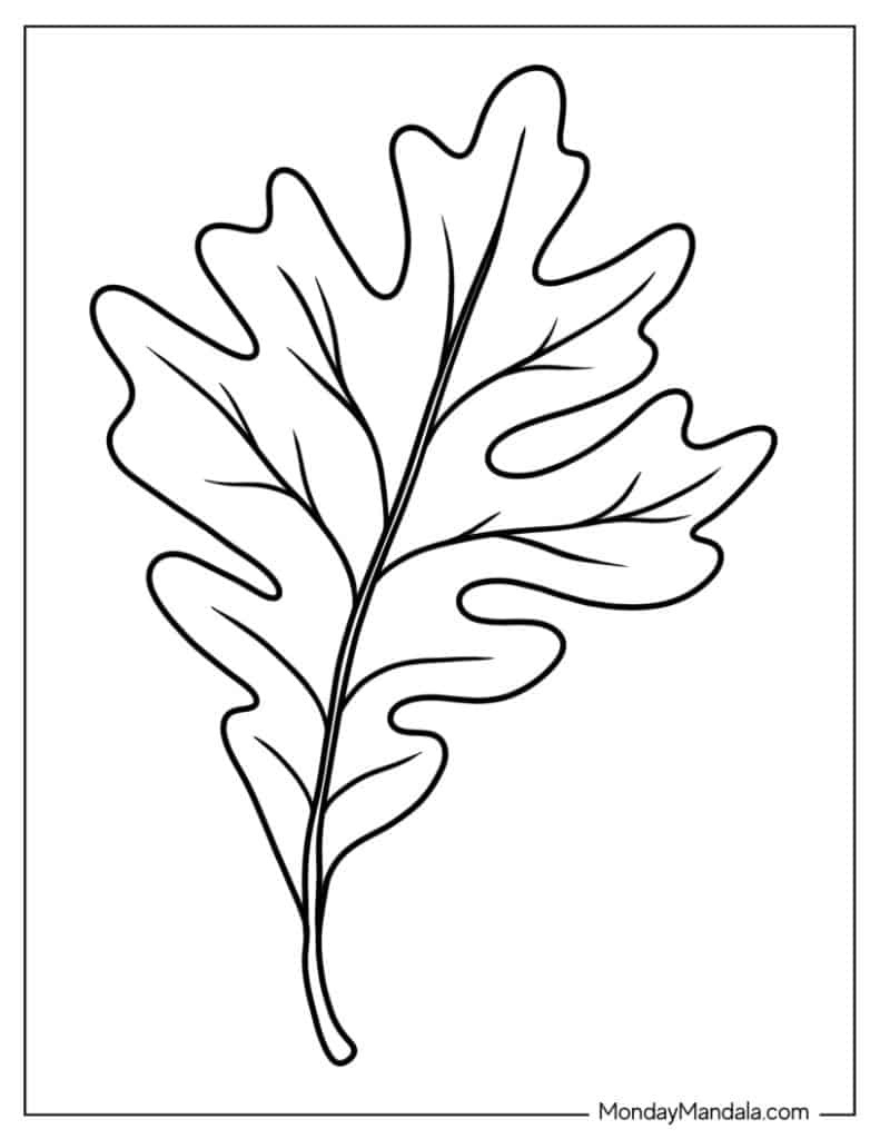 Leaf coloring pages free pdf printables