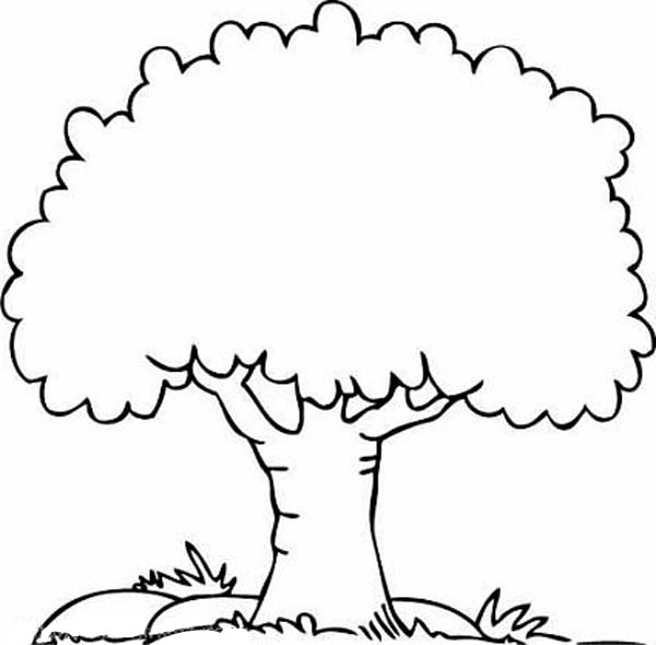 A shady oak tree coloring page color luna flower coloring pages tree coloring page christmas tree coloring page