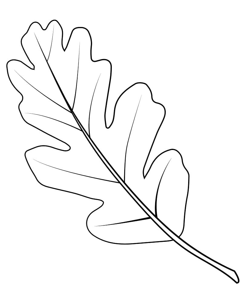 Printable oak leaf coloring page