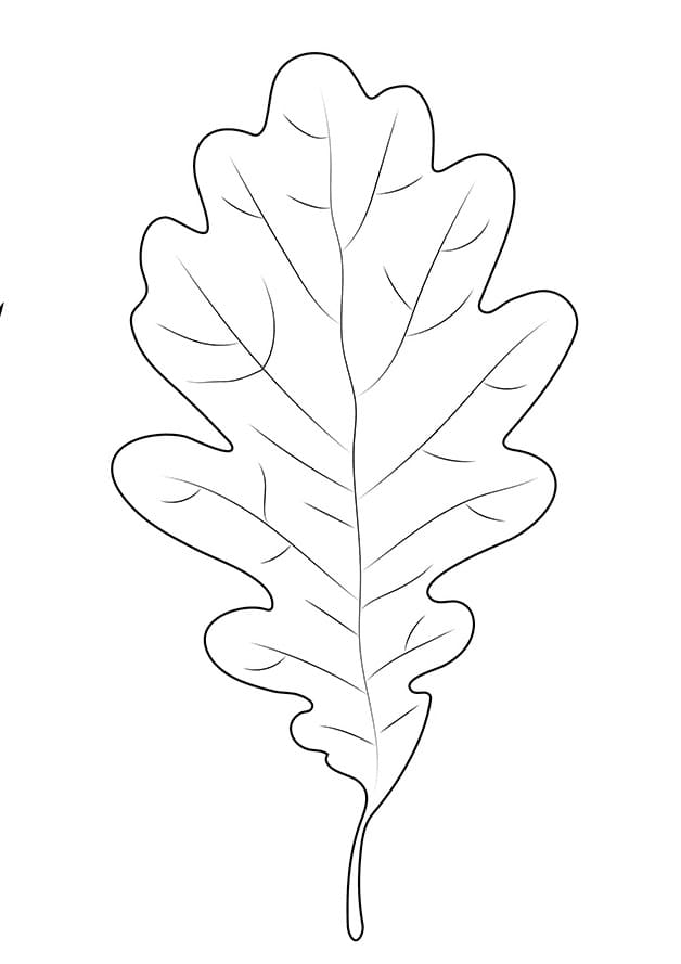 Normal oak leaf coloring page