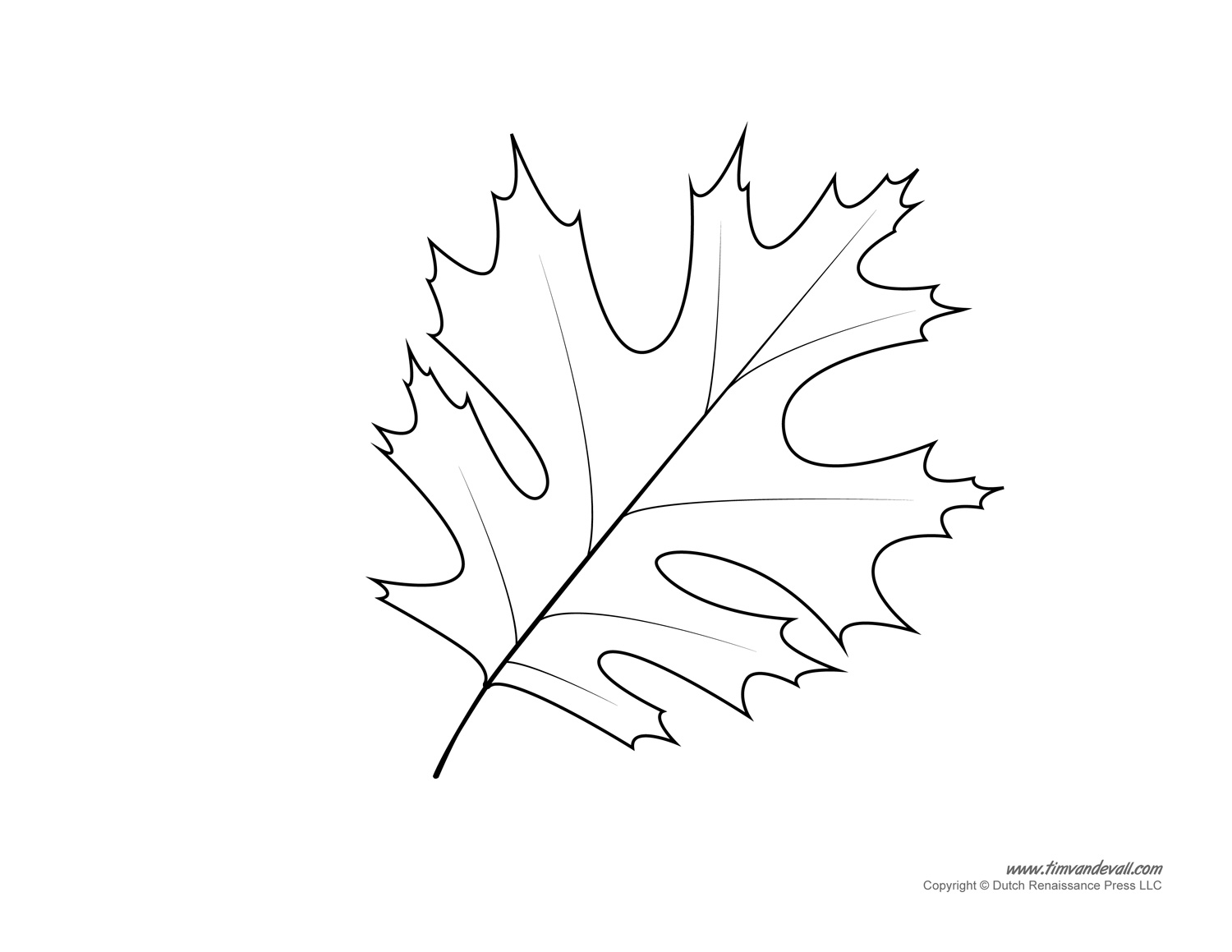 Leaf templates leaf coloring pages for kids leaf printables â tims printables