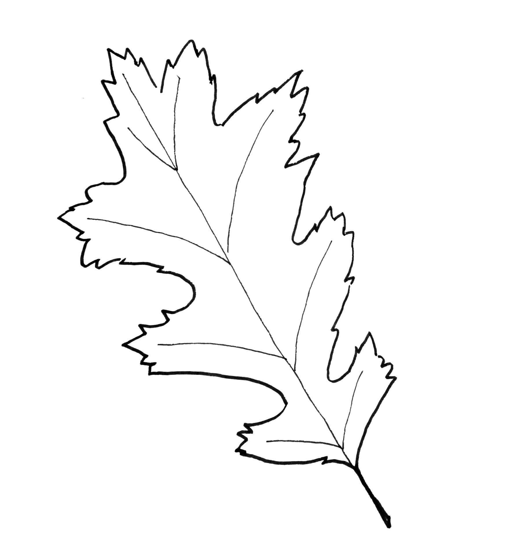 Fall leaf pattern printables