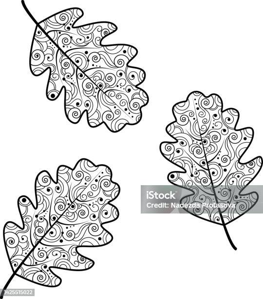 Black and white illustration of oak leaves autumn illustrationan idea for a logo fashion illustrations magazines