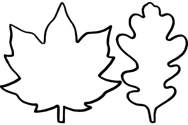 Leaf template free printables