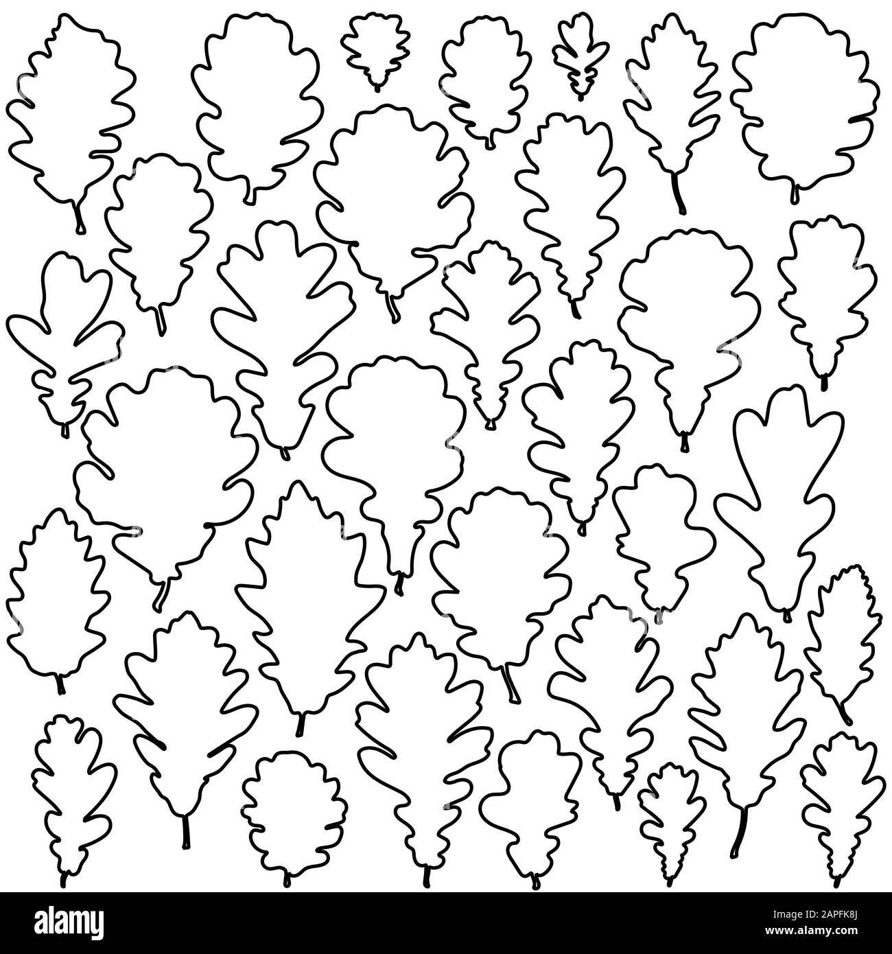 Oak leaves outline set fo coloring book page vector stock vector image art