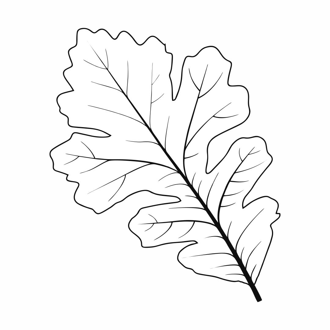 Best oak leaf stencil printable pdf for free at