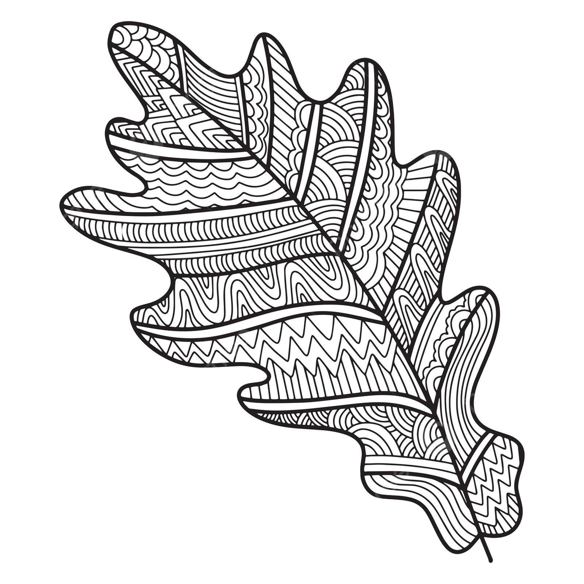 Nature coloring page with handdrawn oak leaf zentangl pattern sketch vector leaf drawing ring drawing nature drawing png and vector with transparent background for free download