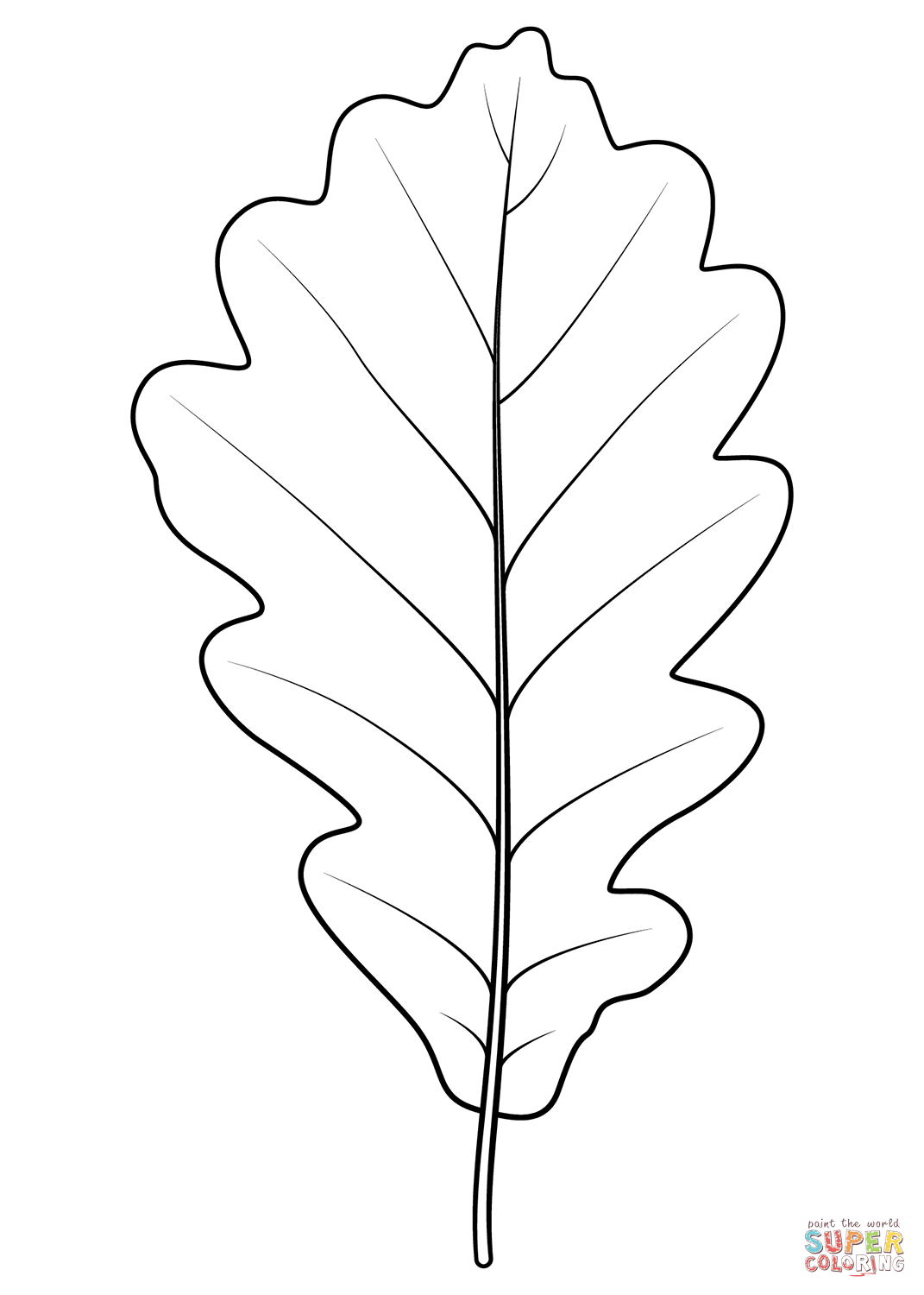 Sessile oak leaf coloring page free printable coloring pages