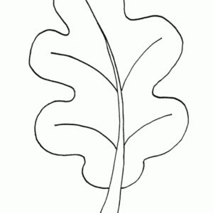 Leaf coloring pages printable for free download