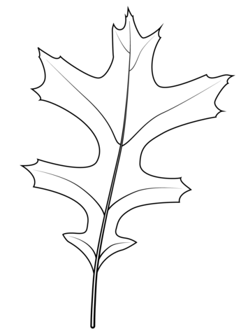 Pin oak leaf coloring page free printable coloring pages