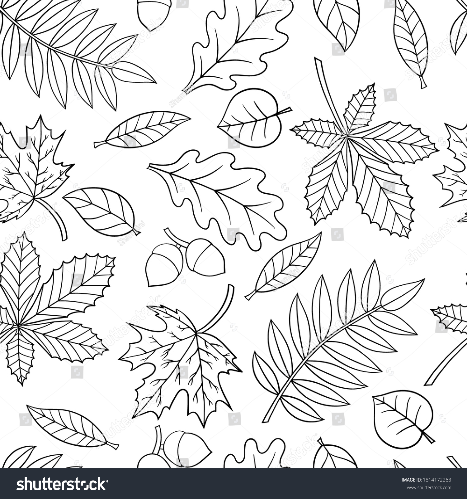 Autumn leaves coloring pages images stock photos d objects vectors