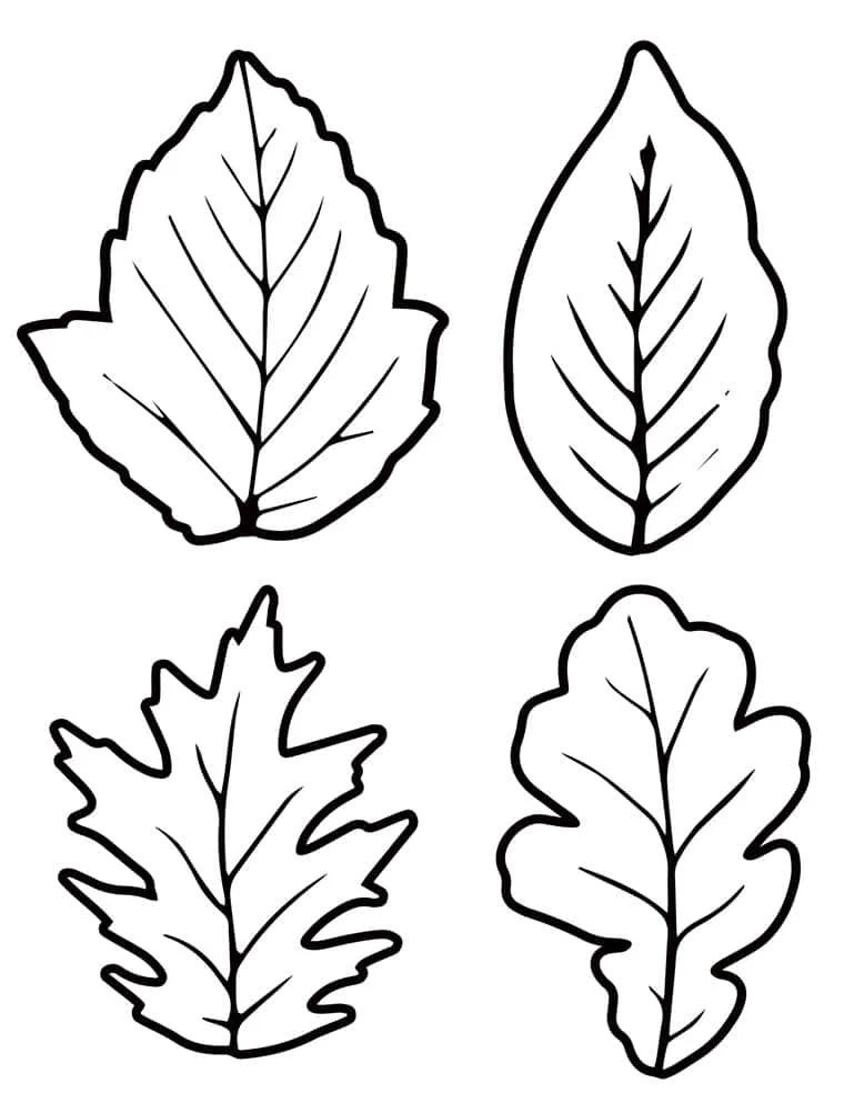 Fall leaf template printable outlines different sizes free