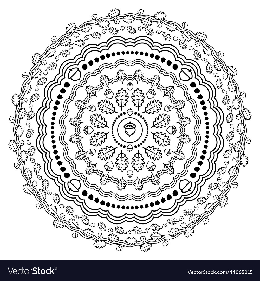 Mandala oak leaves and acorns royalty free vector image