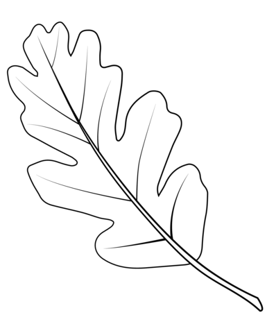 Valley oak leaf coloring page free printable coloring pages